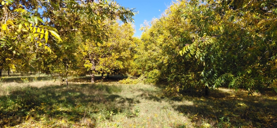 Commercial Property for Sale in Jan Kempdorp Rural Northern Cape
